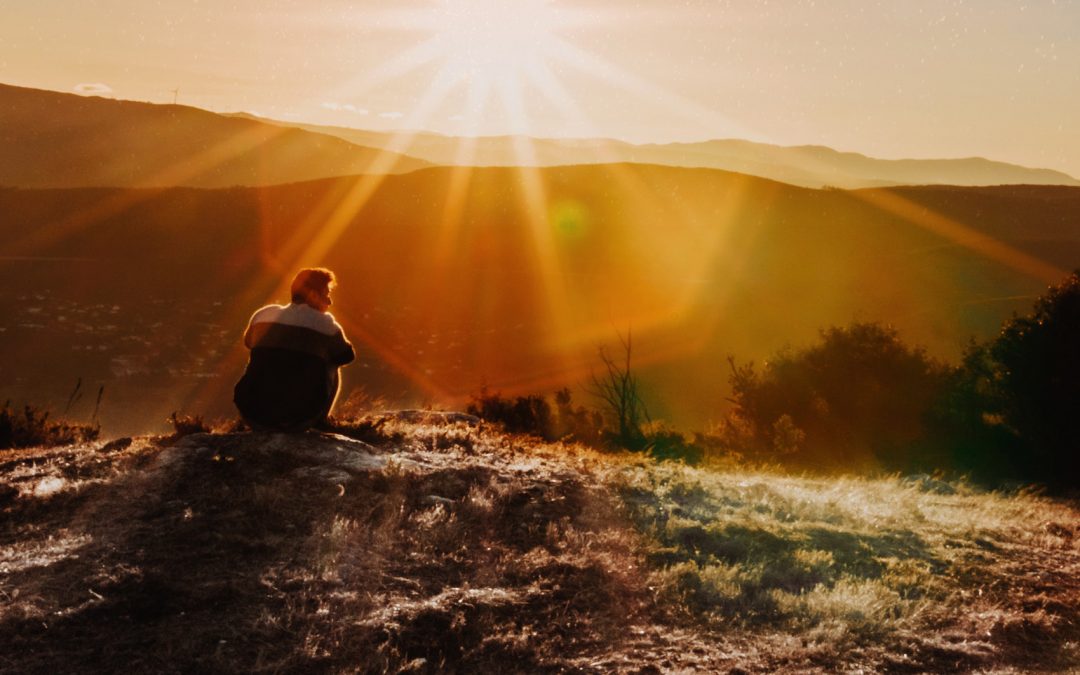 Die Verwirrung über Vitamin D und Vitamin K